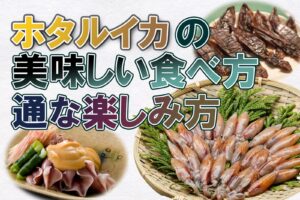 春の風物詩・ホタルイカ大特集　～お魚屋さんが教える美味しい食べ方、通な楽しみ方特集～