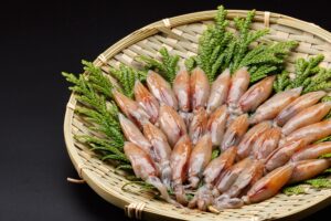 生ほたるいか富山湾産