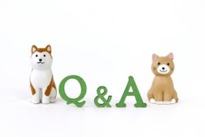 Q&A