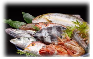 北陸産の新鮮な魚介類