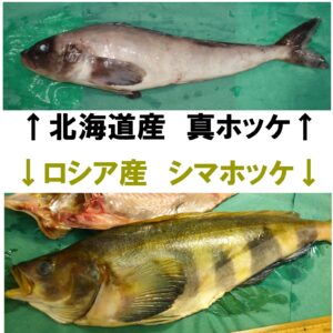 真ホッケとシマホッケ比較