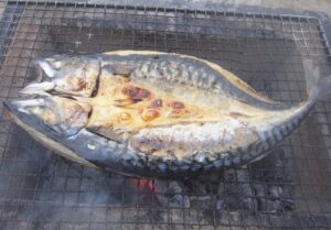 ジャンボサバ一夜干しを焼く
