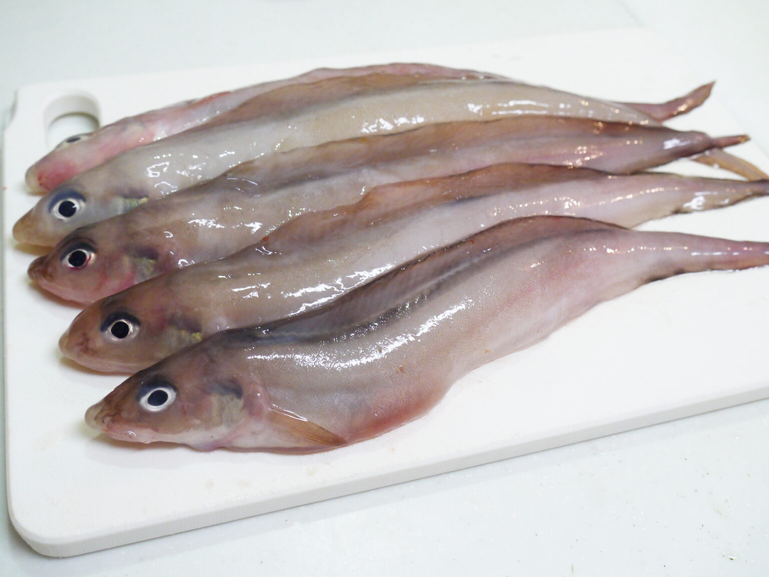 日本海の美味しい深海魚・げんげ(幻魚) ～コラーゲン質に包まれた日本海の絶品食材～ おさかな料理の柴田屋