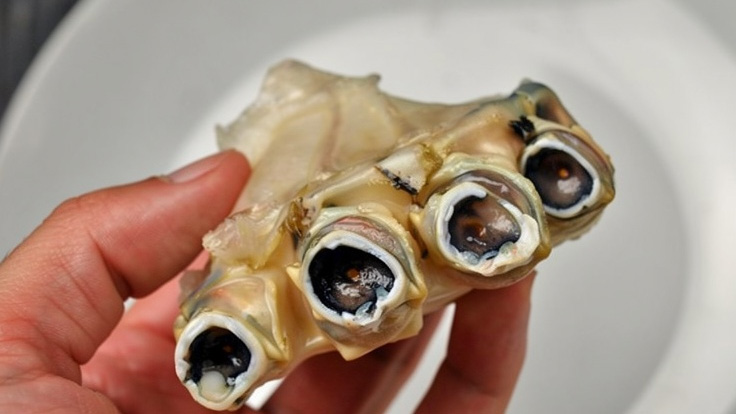 黒変したカニの例。解凍後に放置すると身が黒っぽく変色する