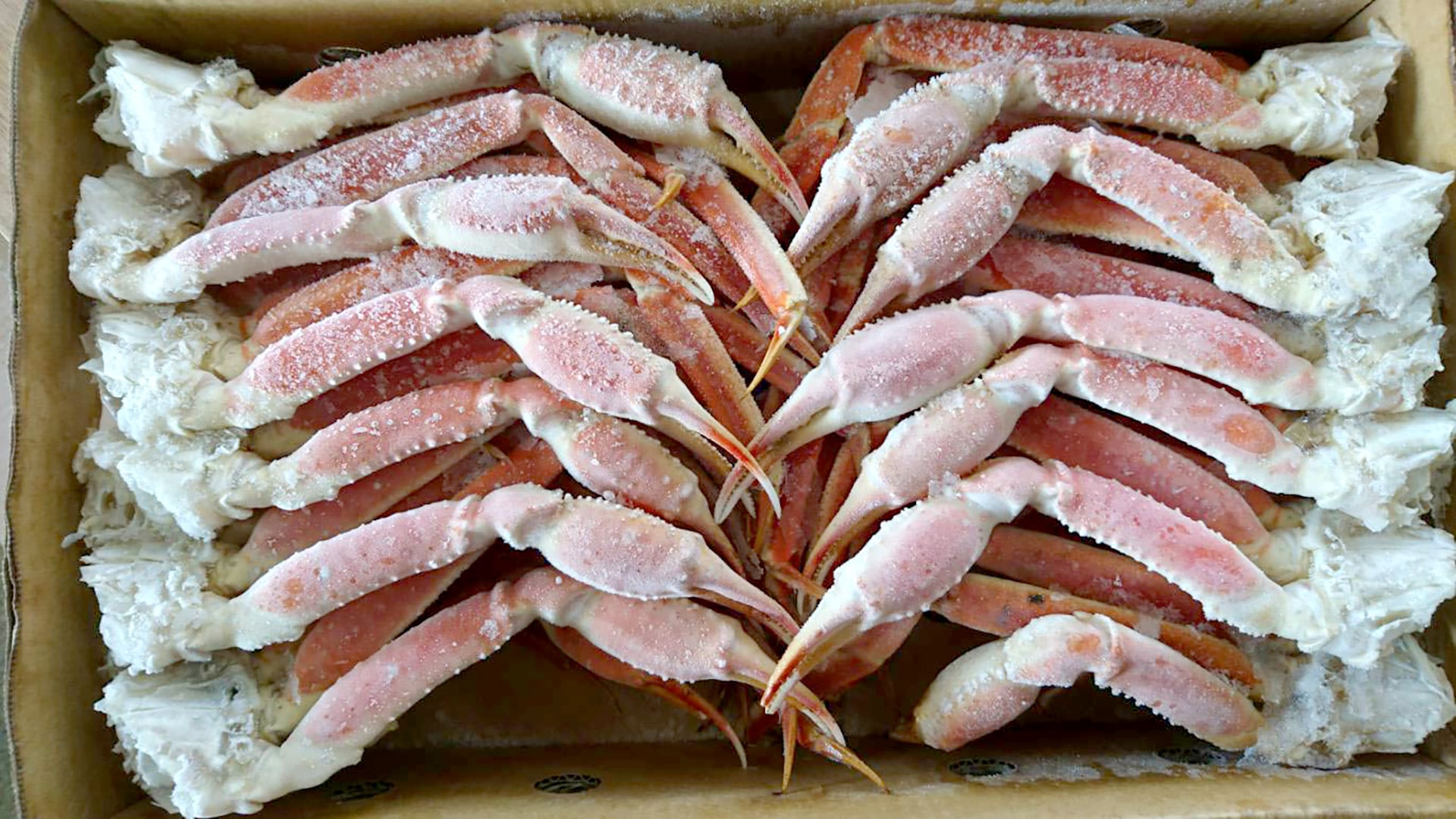 ズワイガニグレーズ